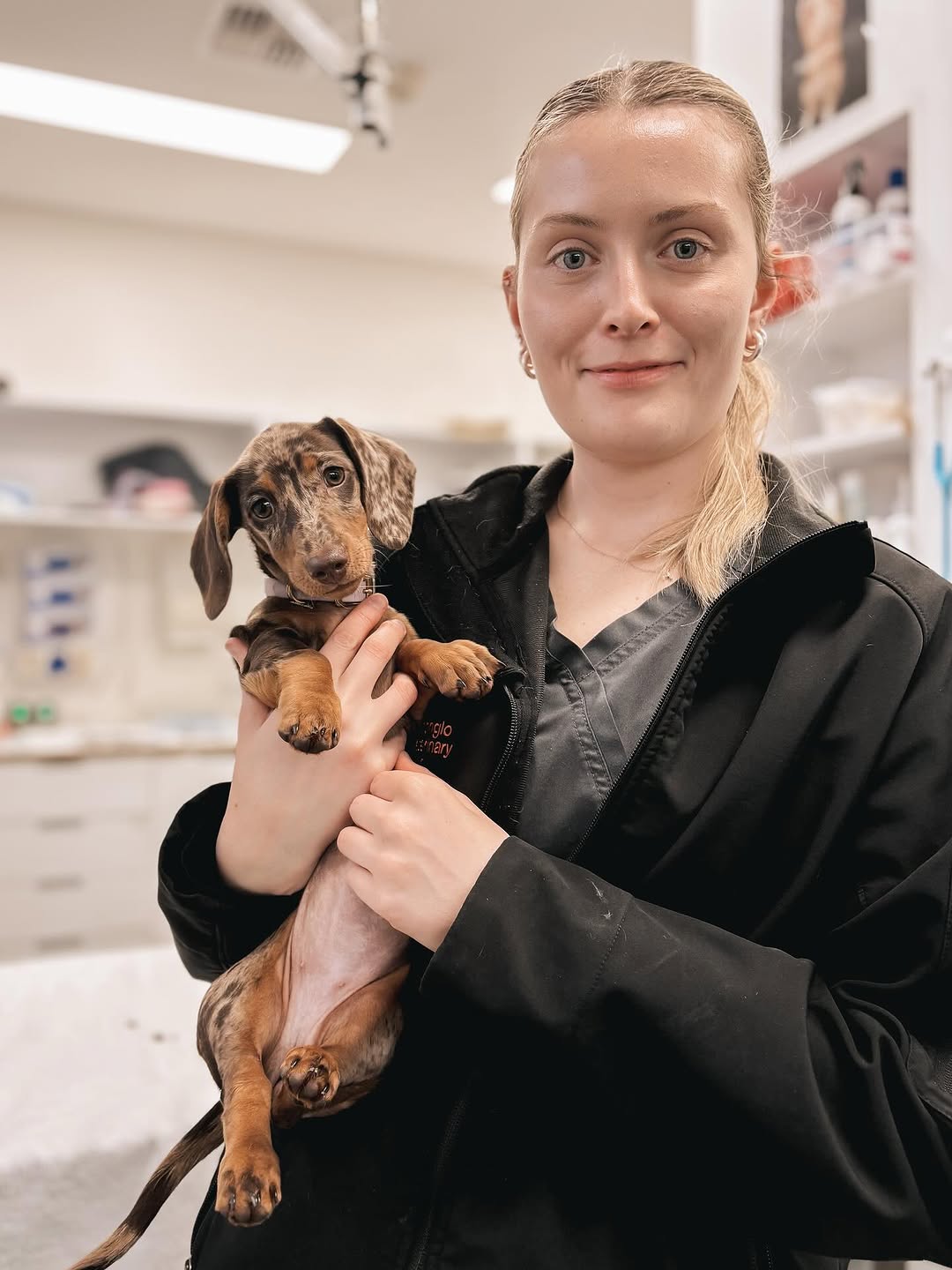 Vet